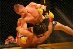 Fight Image 1